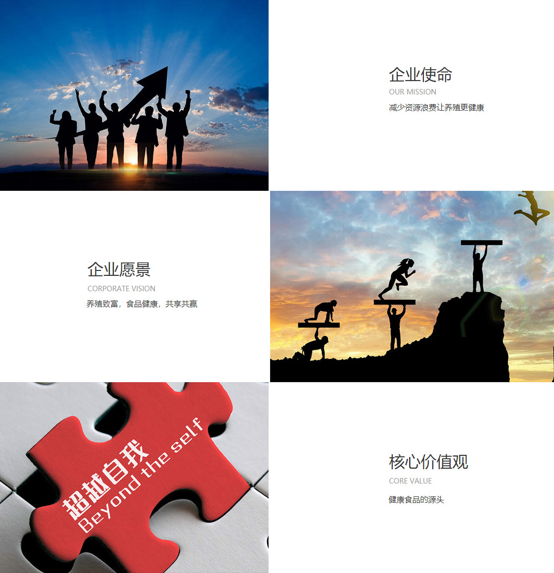 伟德体育(图1)